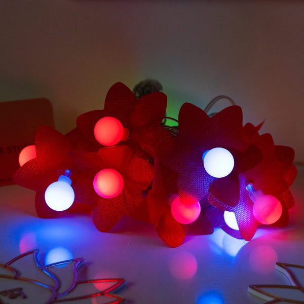 String Lights - Amaryllis