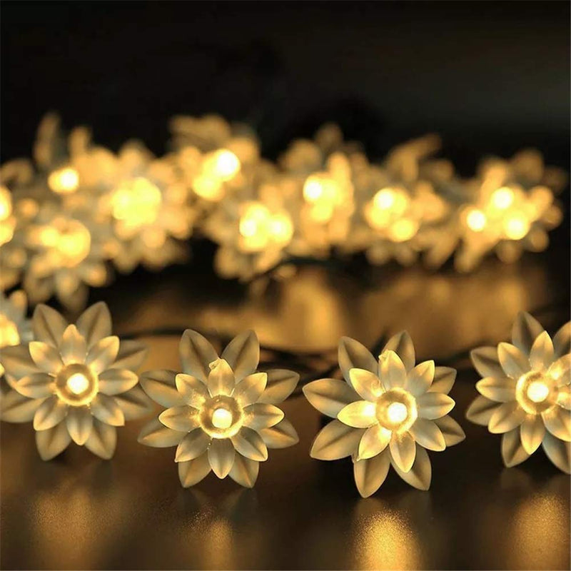 String Lights - Lotus