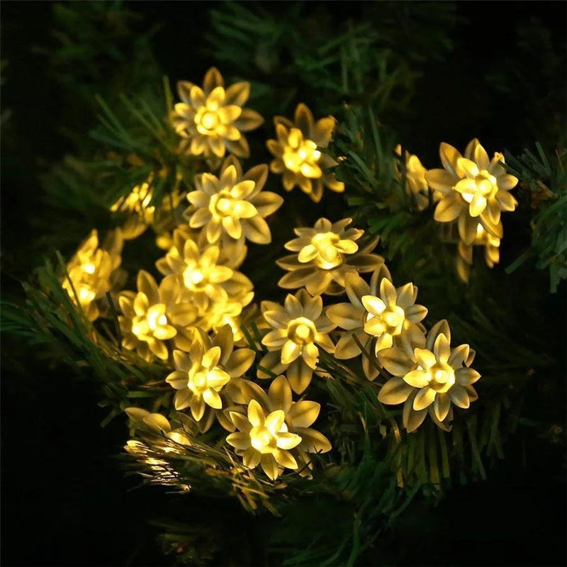 String Lights - Lotus